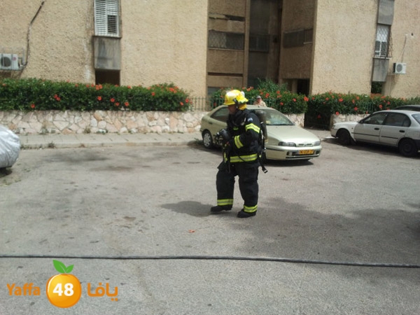 fireinyaffaw5 (2).jpg